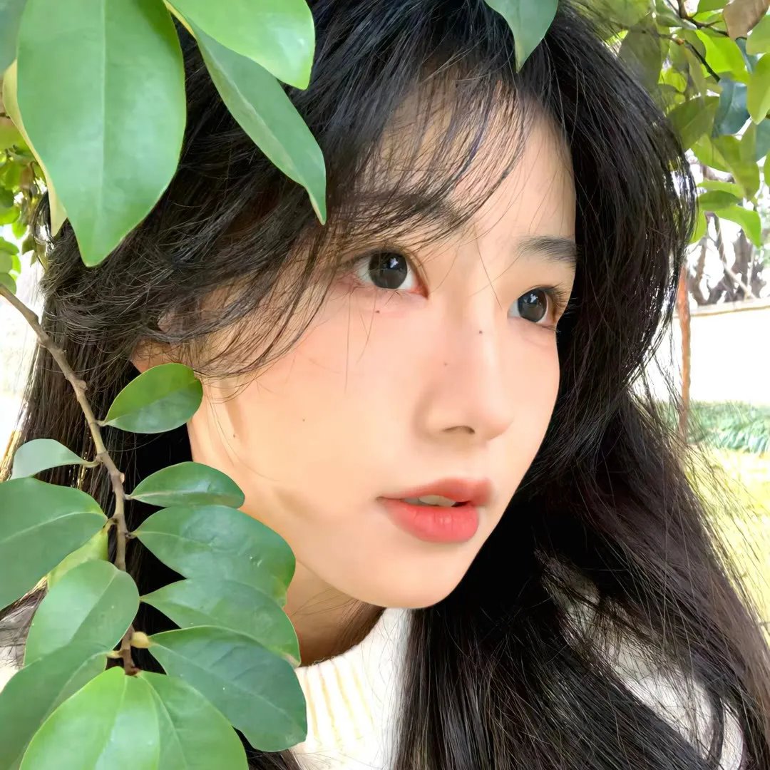 第一次真难封面